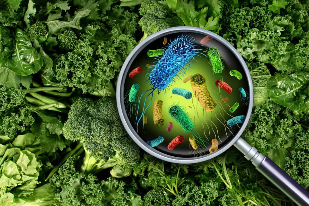 listeria