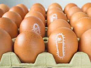 Jangkitan Salmonella (Salmonella Infection) - Simptom, Punca, Diagnosis, Faktor Risiko dan Rawatan