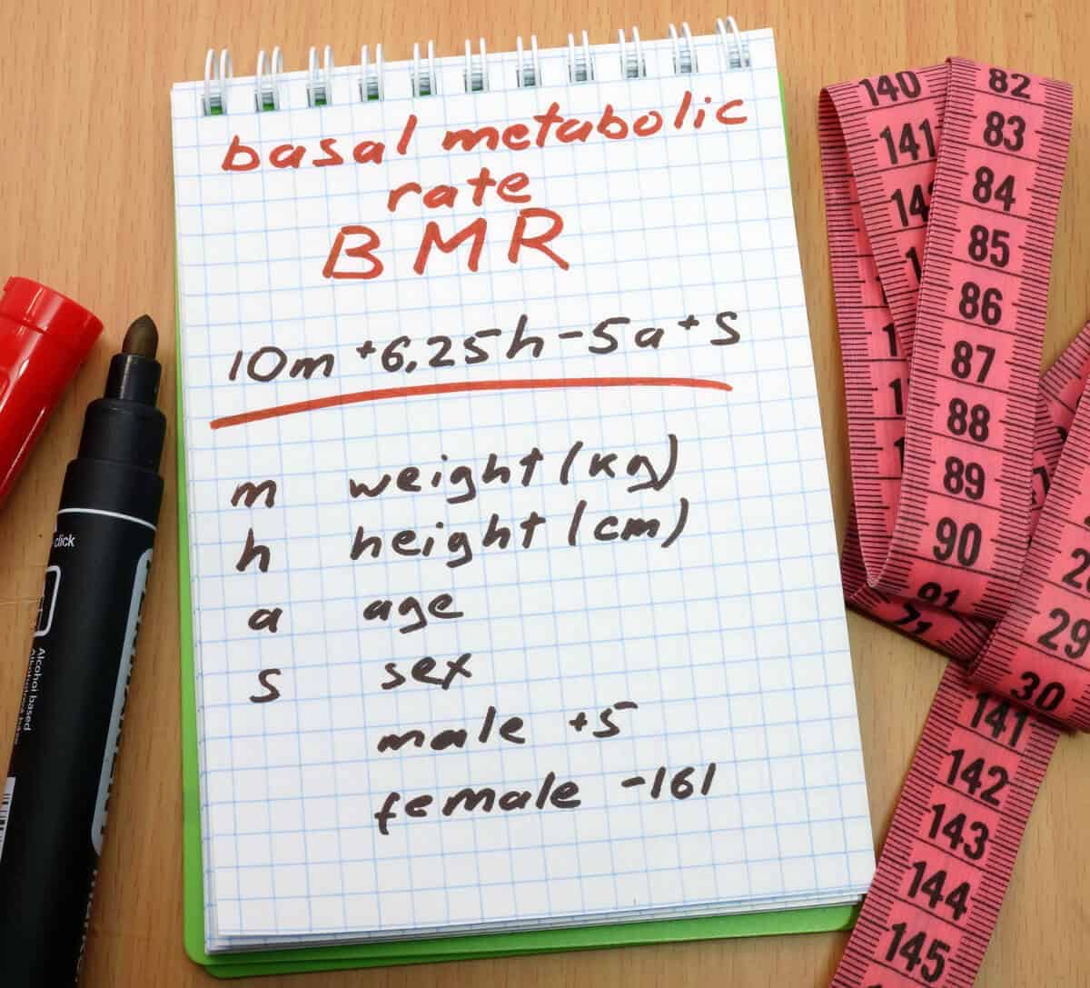 kadar metabolisme dan kelangsingan