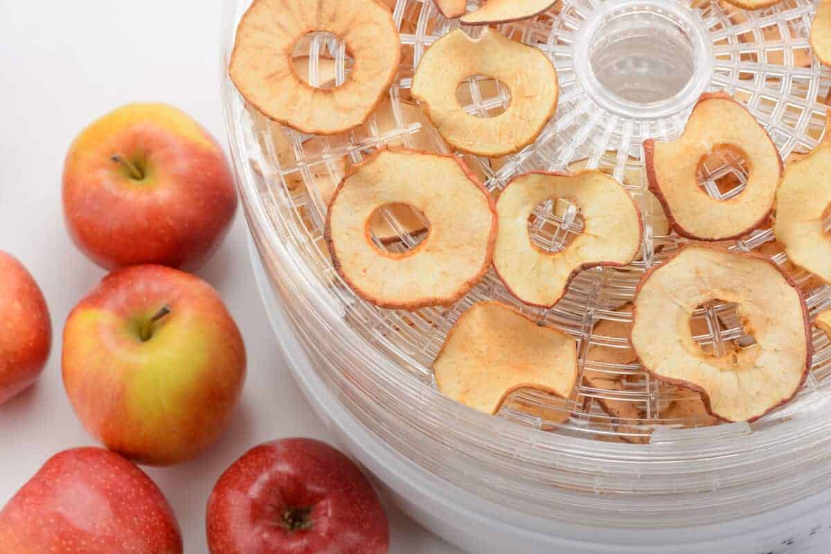 Food Dehydrator