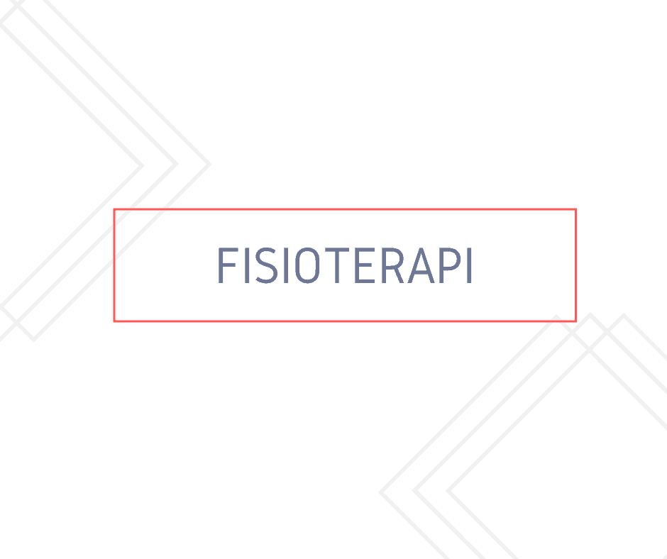 Fisioterapi