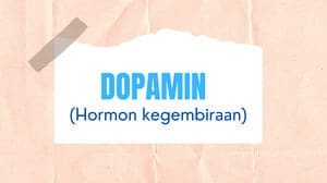 Dopamin (Dopamine)