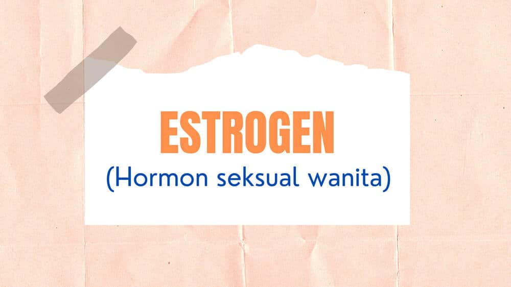 Estrogen