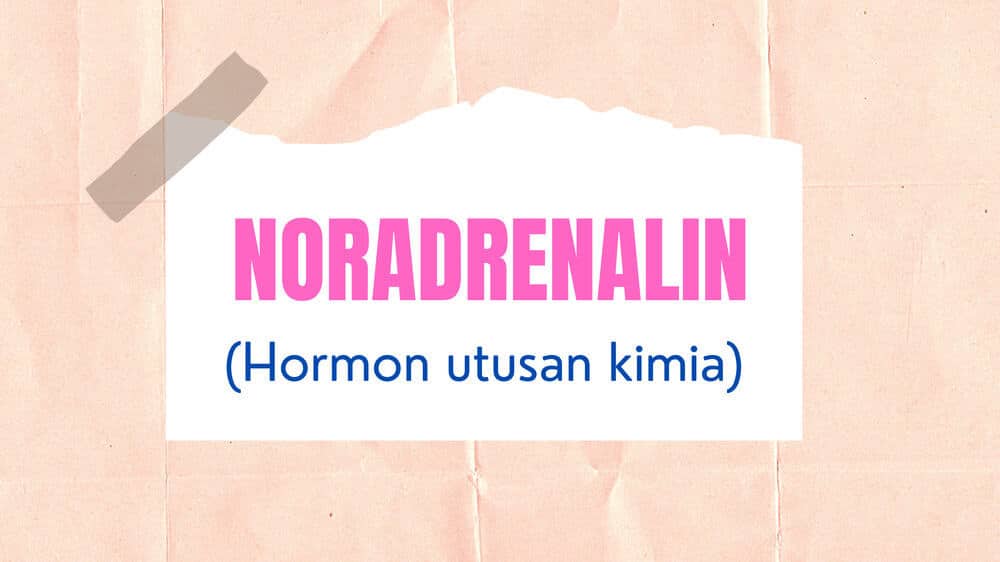Noradrenalin
