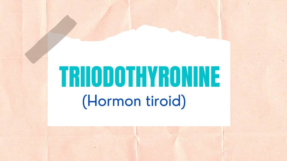 Triiodothyronine