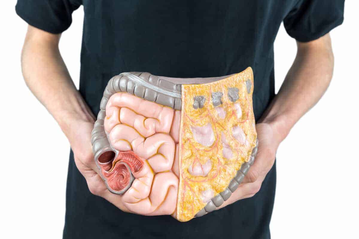 Usus kecil : Ketahui lebih banyak mengenai organ pencernaan ini