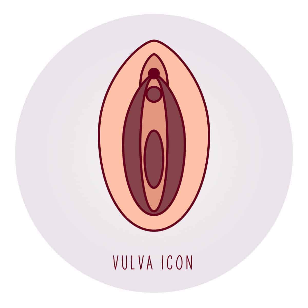 Kelentit (Clitoris) : Ketahui lebih banyak mengenai organ seksual ini