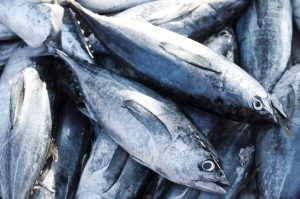 10 Supplemen Fish Oil Yang Berkhasiat