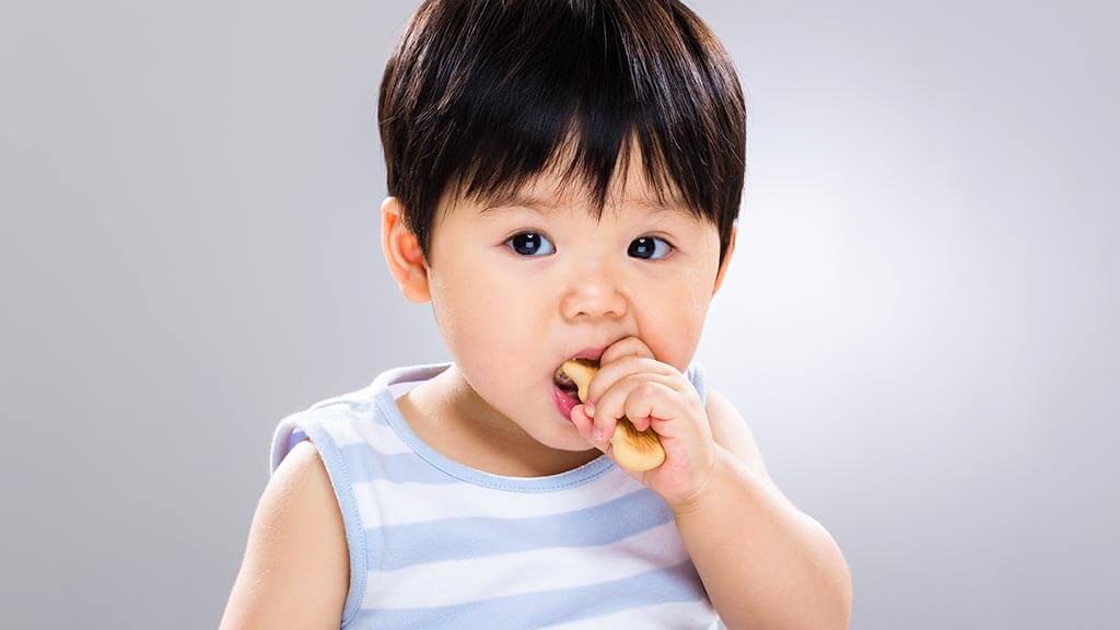 biskut bayi