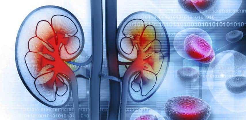 Kencing Berdarah atau Hematuria - Jenis, Punca, Diagnosis, Rawatan, Komplikasi dan Pencegahan