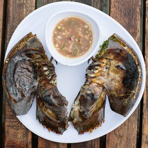 Belangkas Halal Dan Ada Dimasak Di 5 Restoran ini!