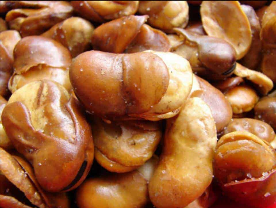 Kacang Parang