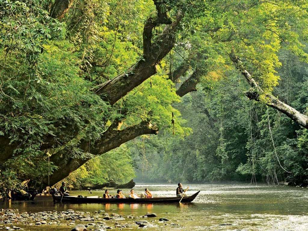 Taman Negara Pahang