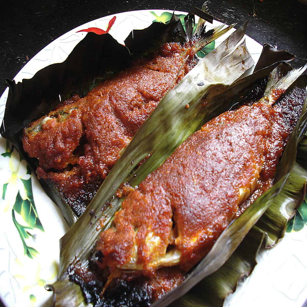 ikan