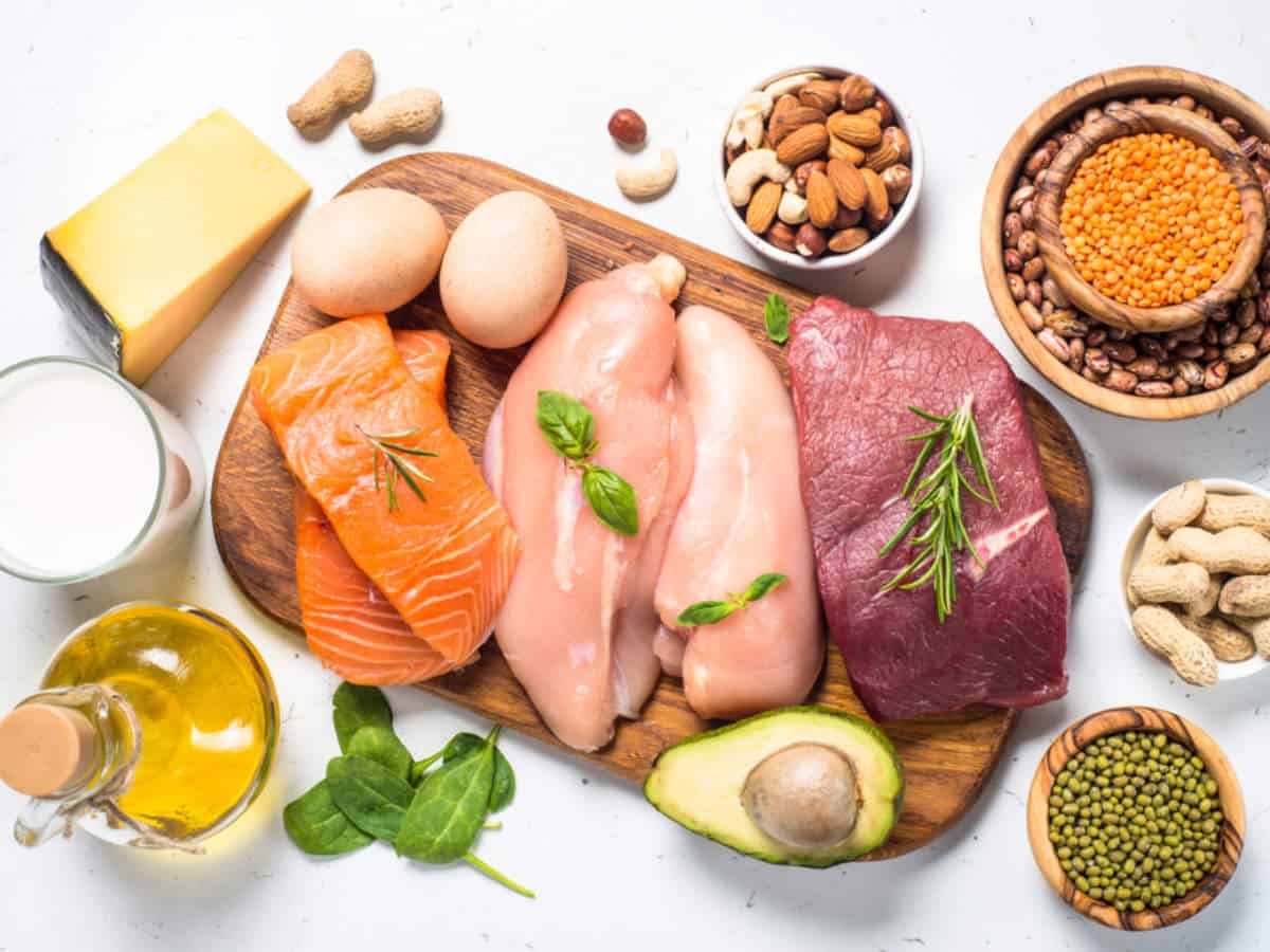 makanan protein