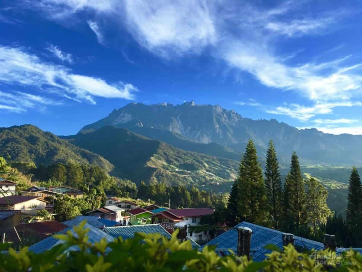 kundasang homestay